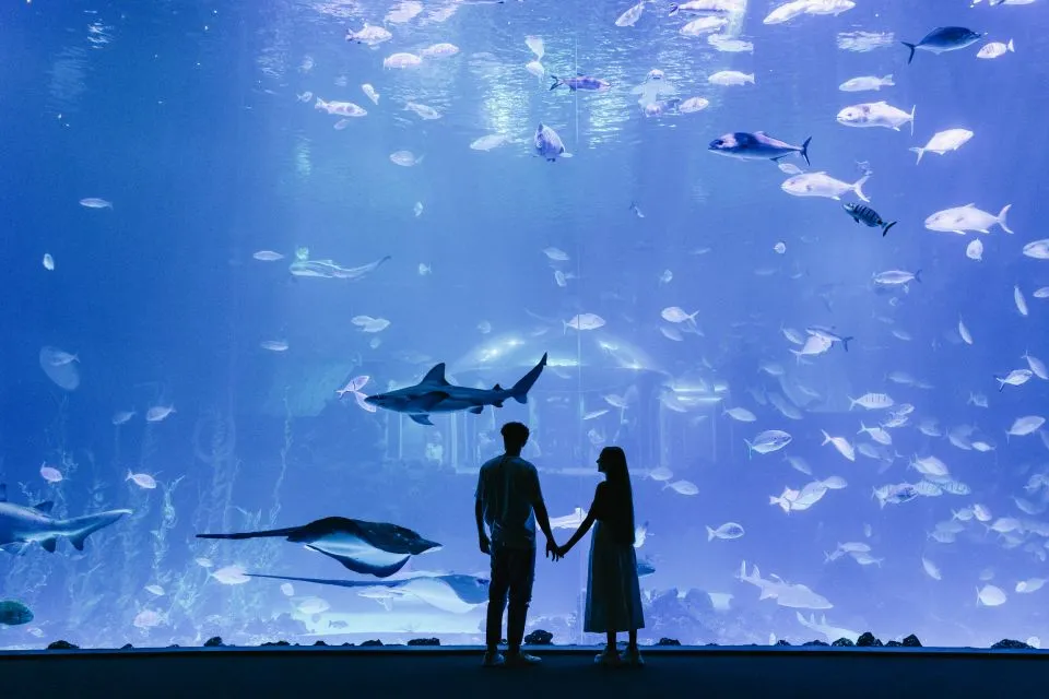 main image of the excursion /gc/acuario/acuario1.webp