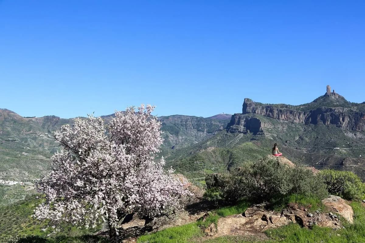 Fataga: the Valley of a Thousand Palms in Gran Canaria