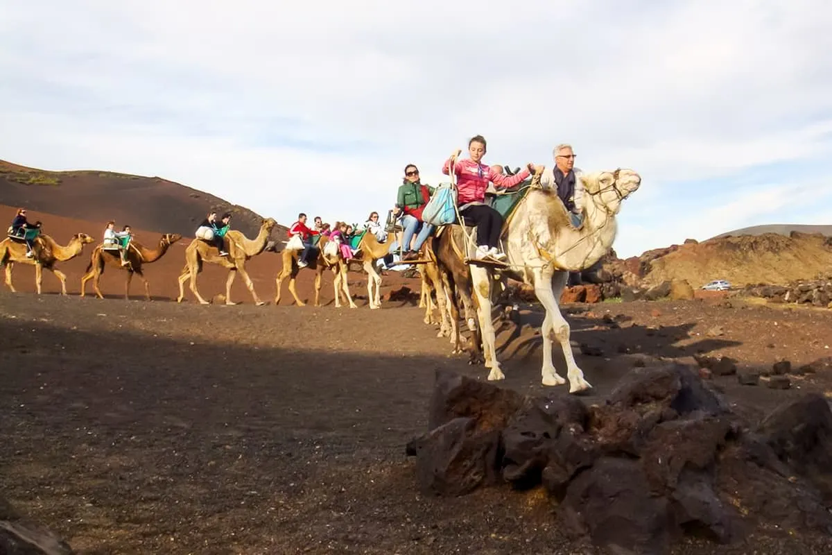 Thumbnail 2 of the excursion /lanzarote/timanfaya-jameos/jameos3.webp