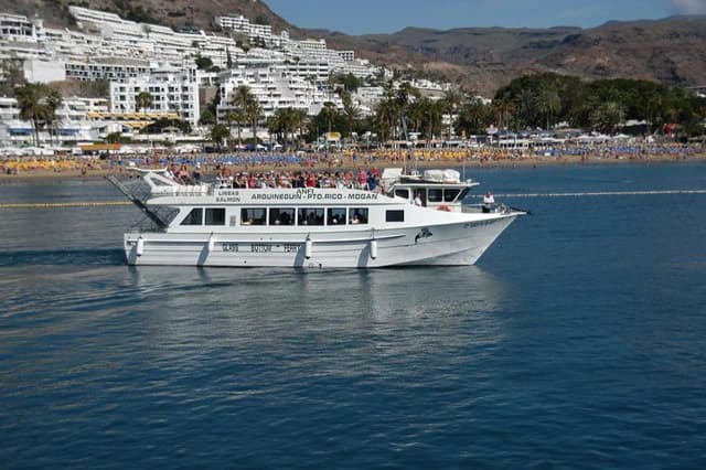 Thumbnail 3 of the excursion /gc/delfines/delfines4.webp