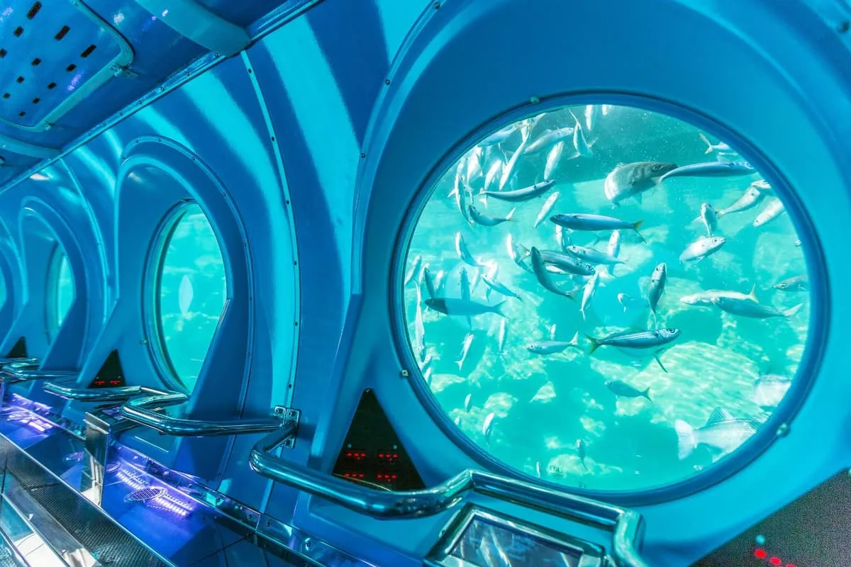 main image of the excursion /gc/submarino-mogan/submarino1.webp