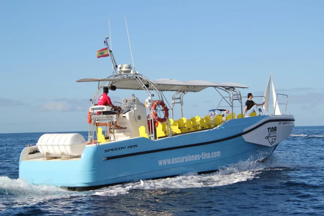 main image of the excursion Avistamiento de ballenas y delfines en La Gomera