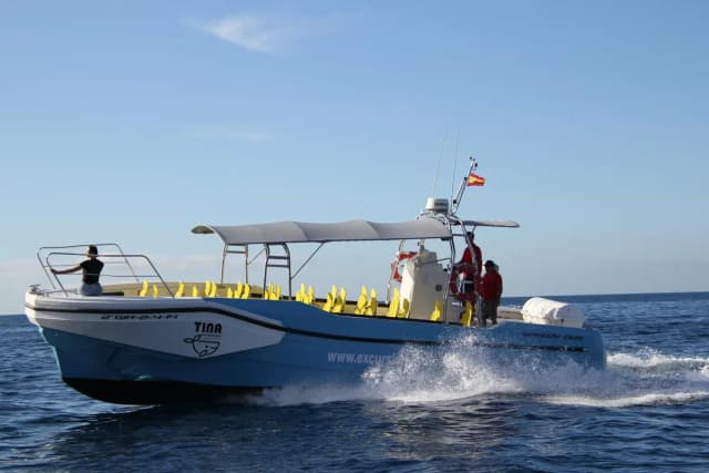 Thumbnail 3 of the excursion /la-gomera/ballenas/ballenas-gmr4.webp