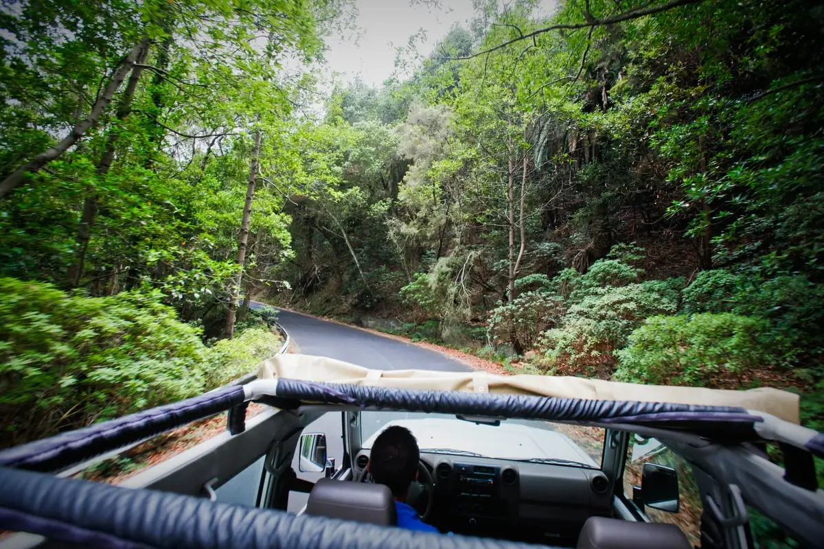 Thumbnail 2 of the excursion /la-gomera/jeep-safari/gomera-jeep3.webp