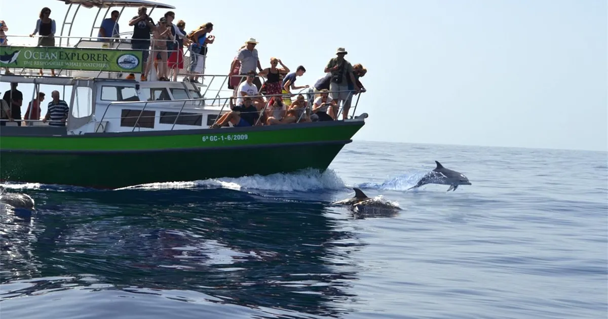 Thumbnail 1 of the excursion /la-palma/ballenas-tazacorte/ballenas2.webp
