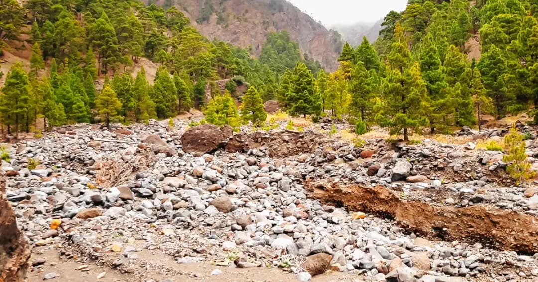 main image of the excursion Tour por el Parque Nacional de la Caldera de Taburiente