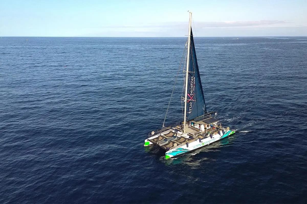 main image of the excursion /tenerife/catamaran-adeje/catamaran-adeje1.webp