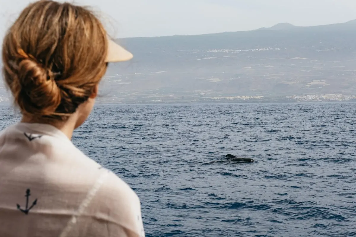 Thumbnail 1 of the excursion /tenerife/catamaran-adeje/catamaran-adeje2.webp