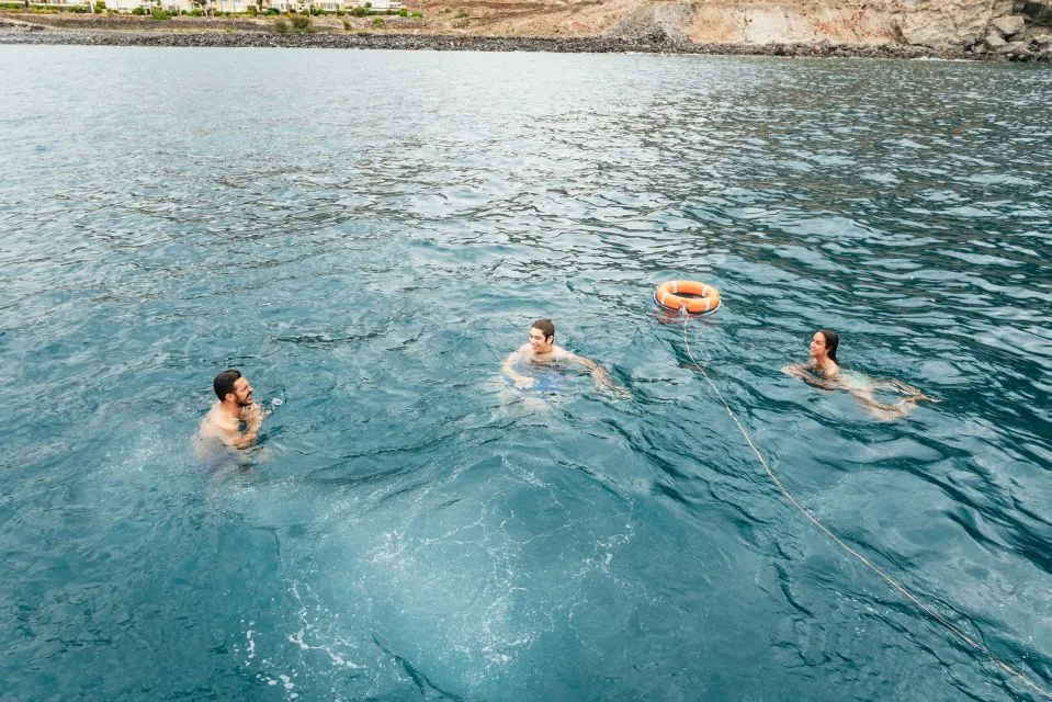 Boat trip along the south coast of Tenerife