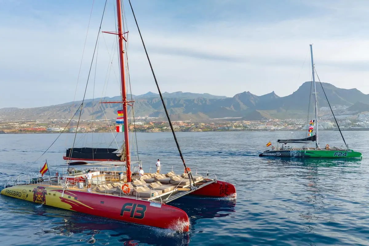 Catamaran sailing along Tenerife's west coast